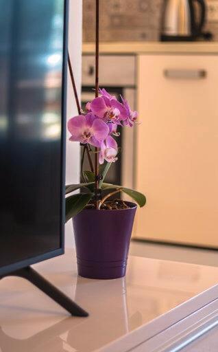 Apartman Boni Appartement Orebić Buitenkant foto